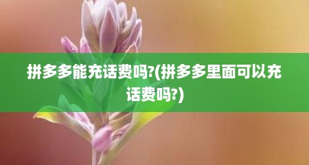 拼多多能充话费吗?(拼多多里面可以充话费吗?)