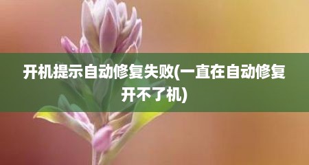 开机提示自动修复失败(一直在自动修复开不了机)