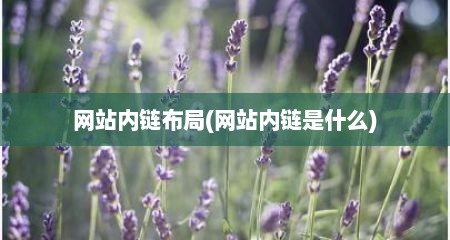 网站内链布局(网站内链是什么)