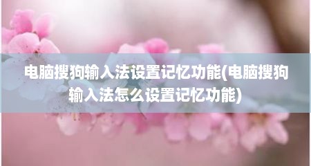 电脑搜狗输入法设置记忆功能(电脑搜狗输入法怎么设置记忆功能)