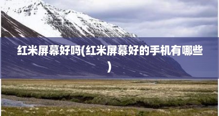 红米屏幕好吗(红米屏幕好的手机有哪些)