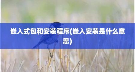 嵌入式包和安装程序(嵌入安装是什么意思)
