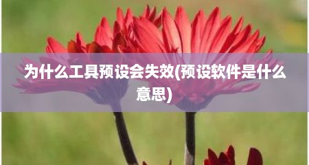 为什么工具预设会失效(预设软件是什么意思)