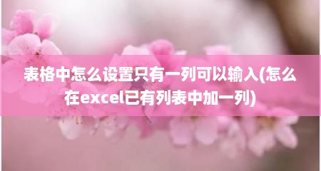 表格中怎么设置只有一列可以输入(怎么在excel已有列表中加一列)
