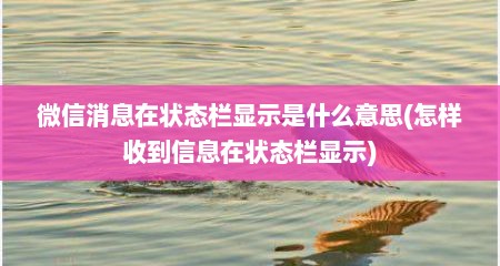 微信消息在状态栏显示是什么意思(怎样收到信息在状态栏显示)