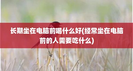 长期坐在电脑前喝什么好(经常坐在电脑前的人需要吃什么)