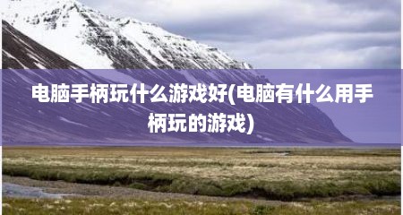 电脑手柄玩什么游戏好(电脑有什么用手柄玩的游戏)