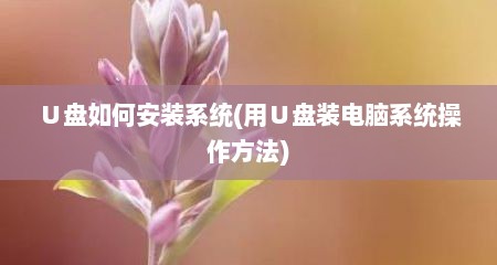 ∪盘如何安装系统(用∪盘装电脑系统操作方法)