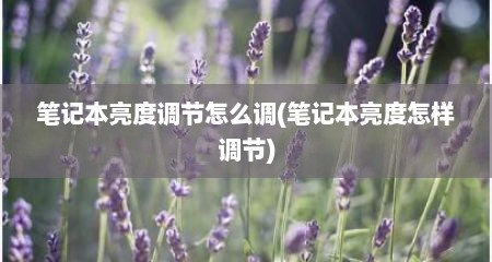 笔记本亮度调节怎么调(笔记本亮度怎样调节)
