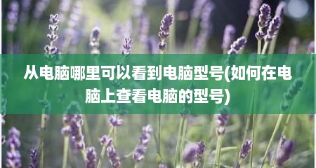 从电脑哪里可以看到电脑型号(如何在电脑上查看电脑的型号)