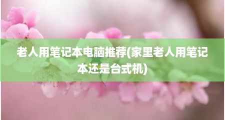 老人用笔记本电脑推荐(家里老人用笔记本还是台式机)