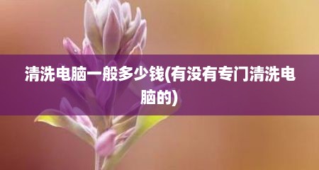 清洗电脑一般多少钱(有没有专门清洗电脑的)