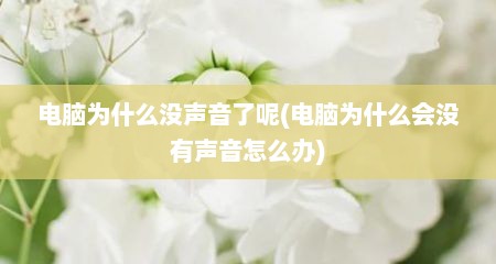 电脑为什么没声音了呢(电脑为什么会没有声音怎么办)