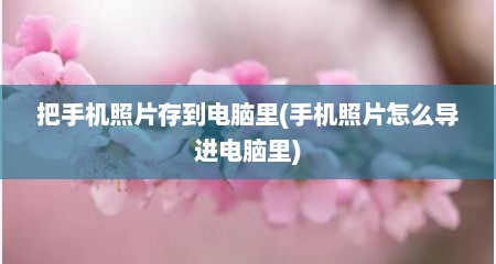 把手机照片存到电脑里(手机照片怎么导进电脑里)