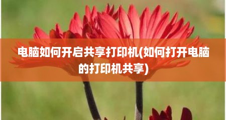 电脑如何开启共享打印机(如何打开电脑的打印机共享)