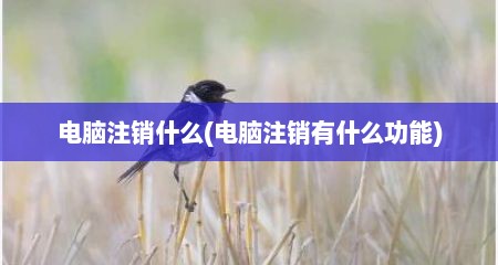 电脑注销什么(电脑注销有什么功能)