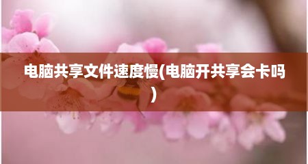 电脑共享文件速度慢(电脑开共享会卡吗)
