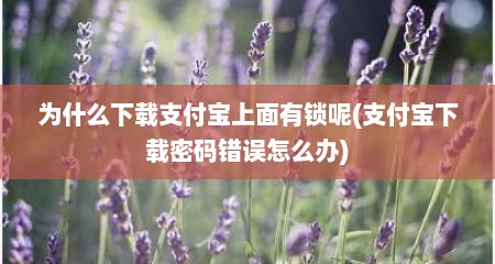 为什么下载支付宝上面有锁呢(支付宝下载密码错误怎么办)