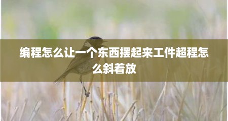 编程怎么让一个东西摆起来工件超程怎么斜着放