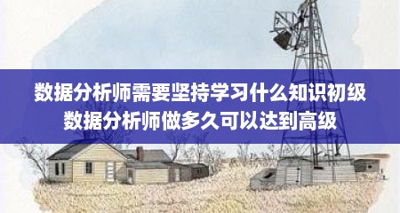 数据分析师需要坚持学习什么知识初级数据分析师做多久可以达到高级