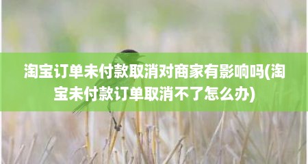 淘宝订单未付款取消对商家有影响吗(淘宝未付款订单取消不了怎么办)
