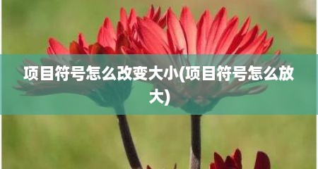 项目符号怎么改变大小(项目符号怎么放大)