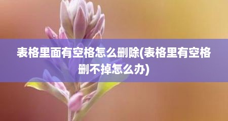 表格里面有空格怎么删除(表格里有空格删不掉怎么办)