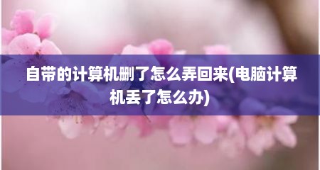 自带的计算机删了怎么弄回来(电脑计算机丢了怎么办)
