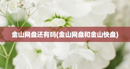 金山网盘还有吗(金山网盘和金山快盘)