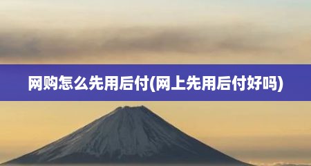 网购怎么先用后付(网上先用后付好吗)