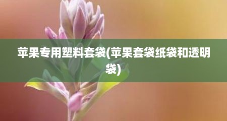 苹果专用塑料套袋(苹果套袋纸袋和透明袋)