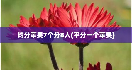 均分苹果7个分8人(平分一个苹果)