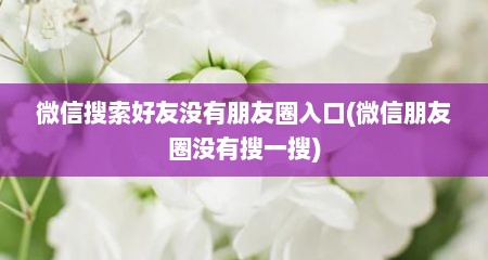 微信搜索好友没有朋友圈入口(微信朋友圈没有搜一搜)