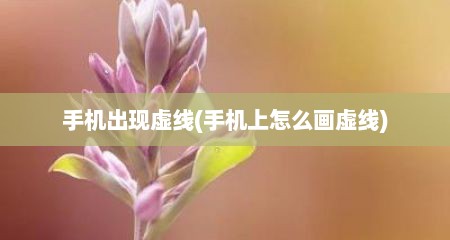 手机出现虚线(手机上怎么画虚线)
