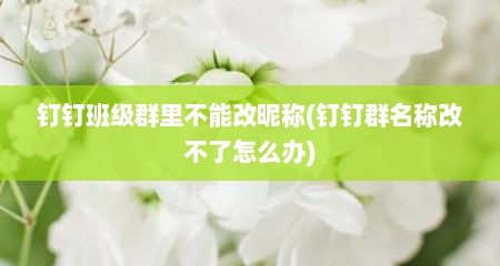 钉钉班级群里不能改昵称(钉钉群名称改不了怎么办)