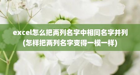 excel怎么把两列名字中相同名字并列(怎样把两列名字变得一模一样)
