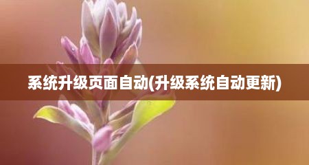 系统升级页面自动(升级系统自动更新)