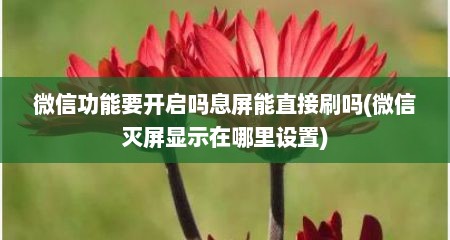 微信功能要开启吗息屏能直接刷吗(微信灭屏显示在哪里设置)