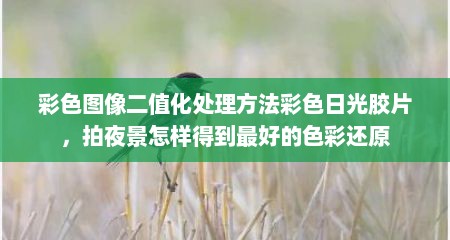 彩色图像二值化处理方法彩色日光胶片，拍夜景怎样得到最好的色彩还原