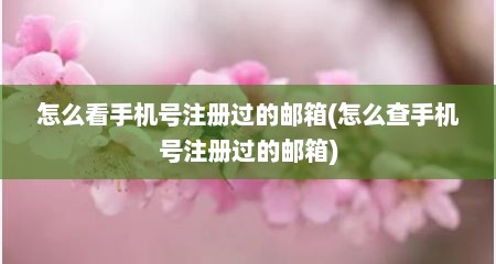 怎么看手机号注册过的邮箱(怎么查手机号注册过的邮箱)