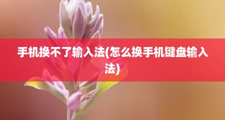 手机换不了输入法(怎么换手机键盘输入法)