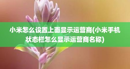 小米怎么设置上面显示运营商(小米手机状态栏怎么显示运营商名称)