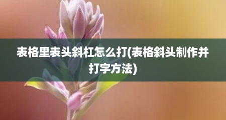 表格里表头斜杠怎么打(表格斜头制作并打字方法)