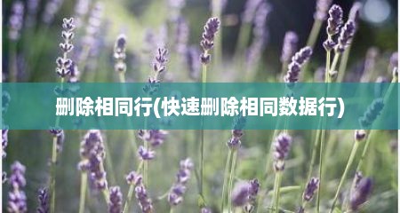 删除相同行(快速删除相同数据行)