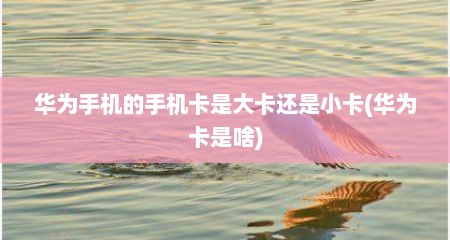 华为手机的手机卡是大卡还是小卡(华为卡是啥)