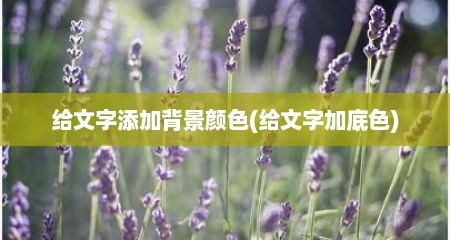给文字添加背景颜色(给文字加底色)