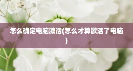 怎么确定电脑激活(怎么才算激活了电脑)