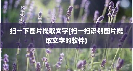 扫一下图片提取文字(扫一扫识别图片提取文字的软件)