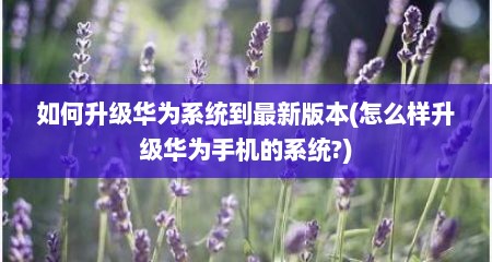 如何升级华为系统到最新版本(怎么样升级华为手机的系统?)