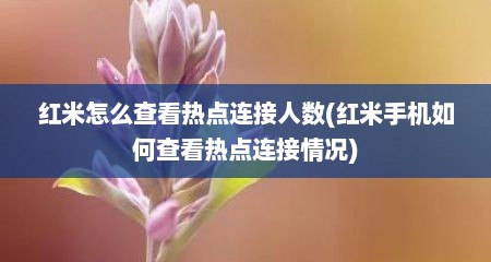 红米怎么查看热点连接人数(红米手机如何查看热点连接情况)